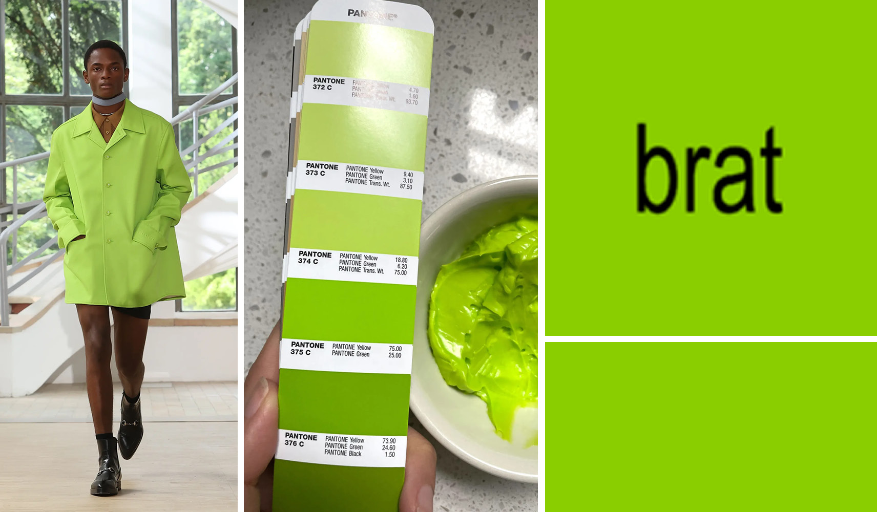Colour Trends
